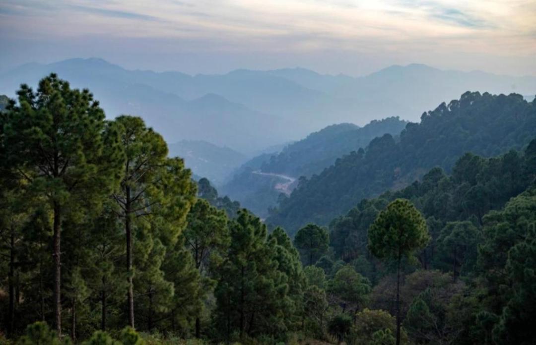 The Kasauli Western Uphills I Serviced Apartments I Pvt Balcony I Peacefull Area I By Exotic Stays Экстерьер фото